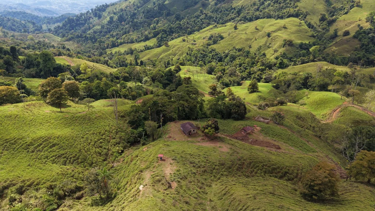 Stunning 38 Hectares Land for Sale Perez Zeledon Costa Rica, photo 8