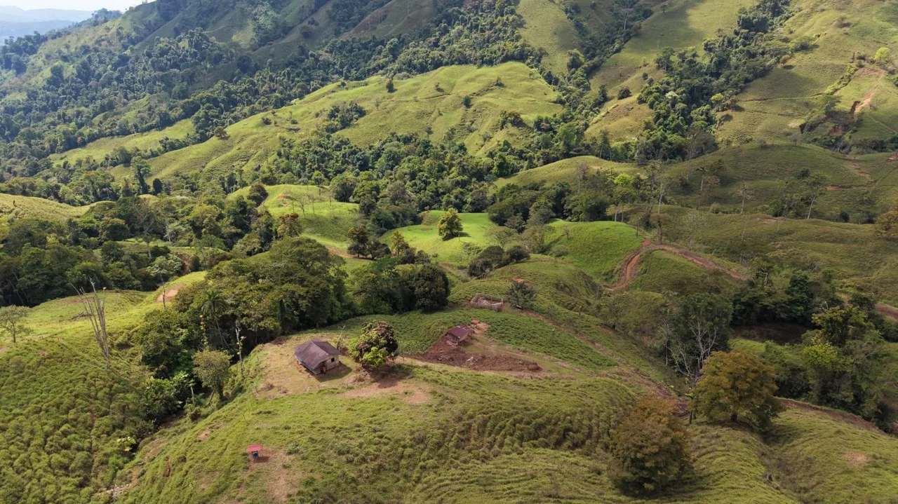 Stunning 38 Hectares Land for Sale Perez Zeledon Costa Rica, photo 9