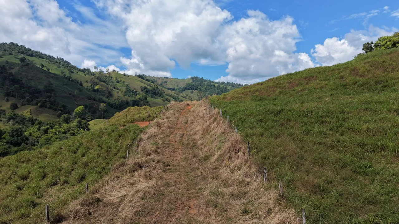 Stunning 38 Hectares Land for Sale Perez Zeledon Costa Rica, photo 10