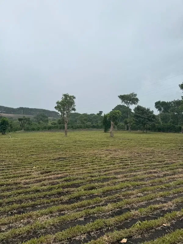 privileged location: just 10 minutes from Automercado, the new PriceSmart, MáxMinos and El Lagar. Everything you need, near ..., photo 7