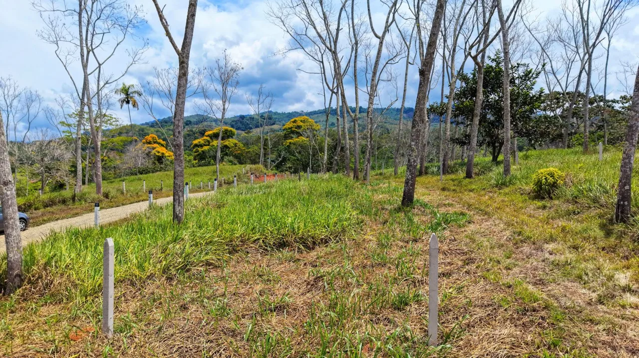 For Sale: One of 3 Premium Lots in Santa Rosa, Perez Zeledon – Don’t Miss Out, photo 11