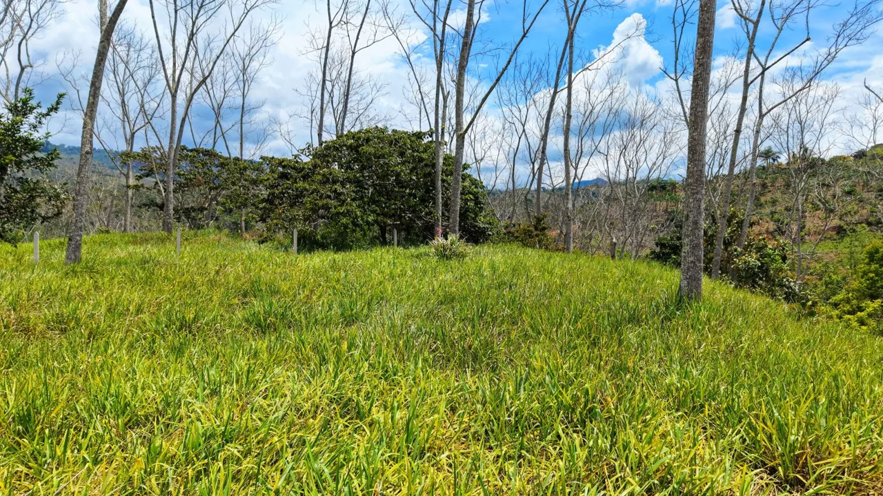 For Sale: One of 3 Premium Lots in Santa Rosa, Perez Zeledon – Don’t Miss Out, photo 12