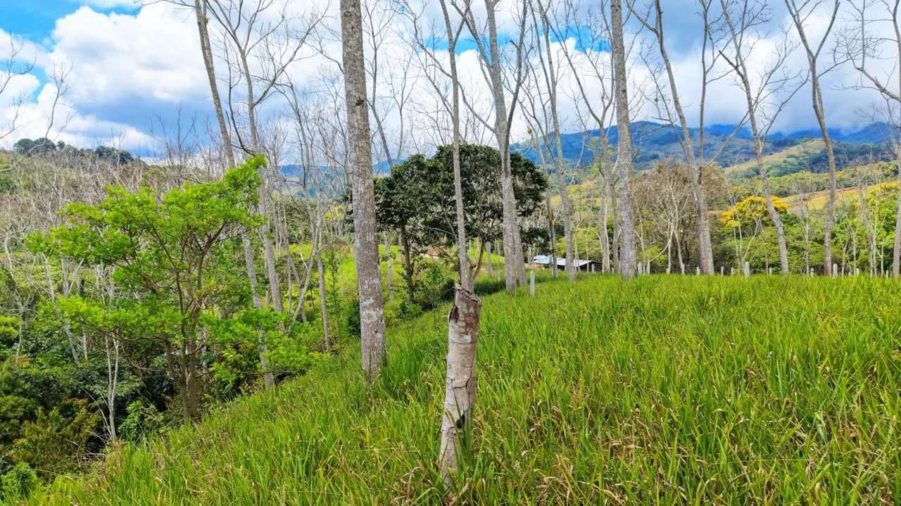 For Sale: One of 3 Premium Lots in Santa Rosa, Perez Zeledon – Don’t Miss Out, photo 14