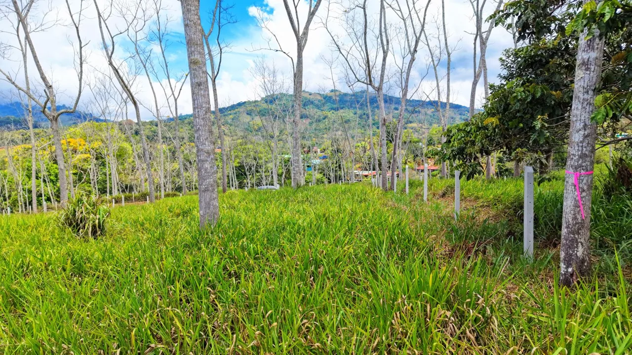 For Sale: One of 3 Premium Lots in Santa Rosa, Perez Zeledon – Don’t Miss Out, photo 6