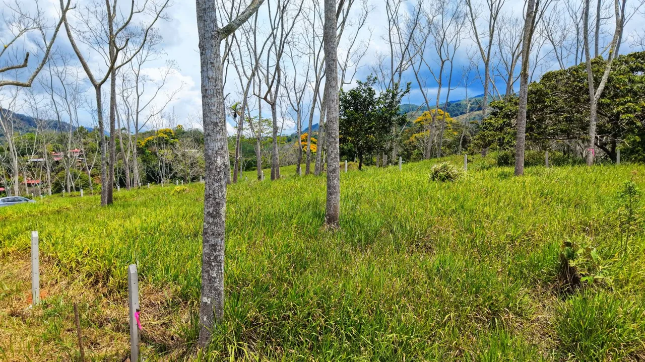 For Sale: One of 3 Premium Lots in Santa Rosa, Perez Zeledon – Don’t Miss Out, photo 7