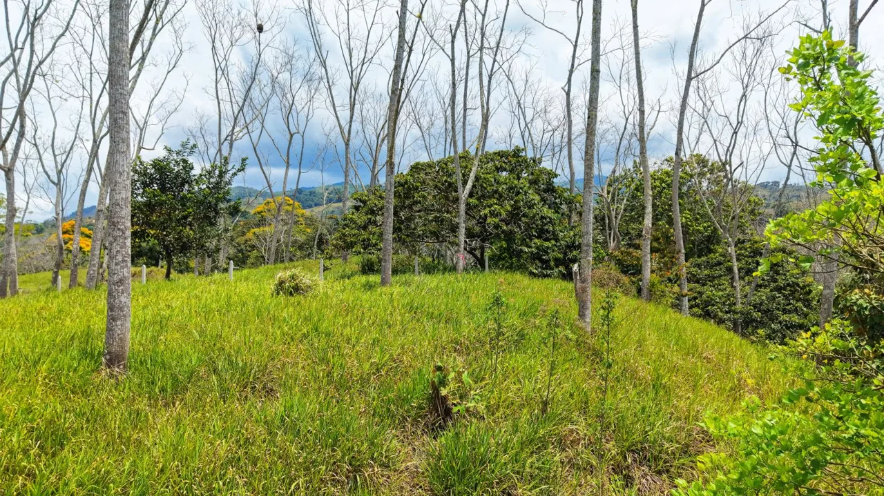 For Sale: One of 3 Premium Lots in Santa Rosa, Perez Zeledon – Don’t Miss Out, photo 8