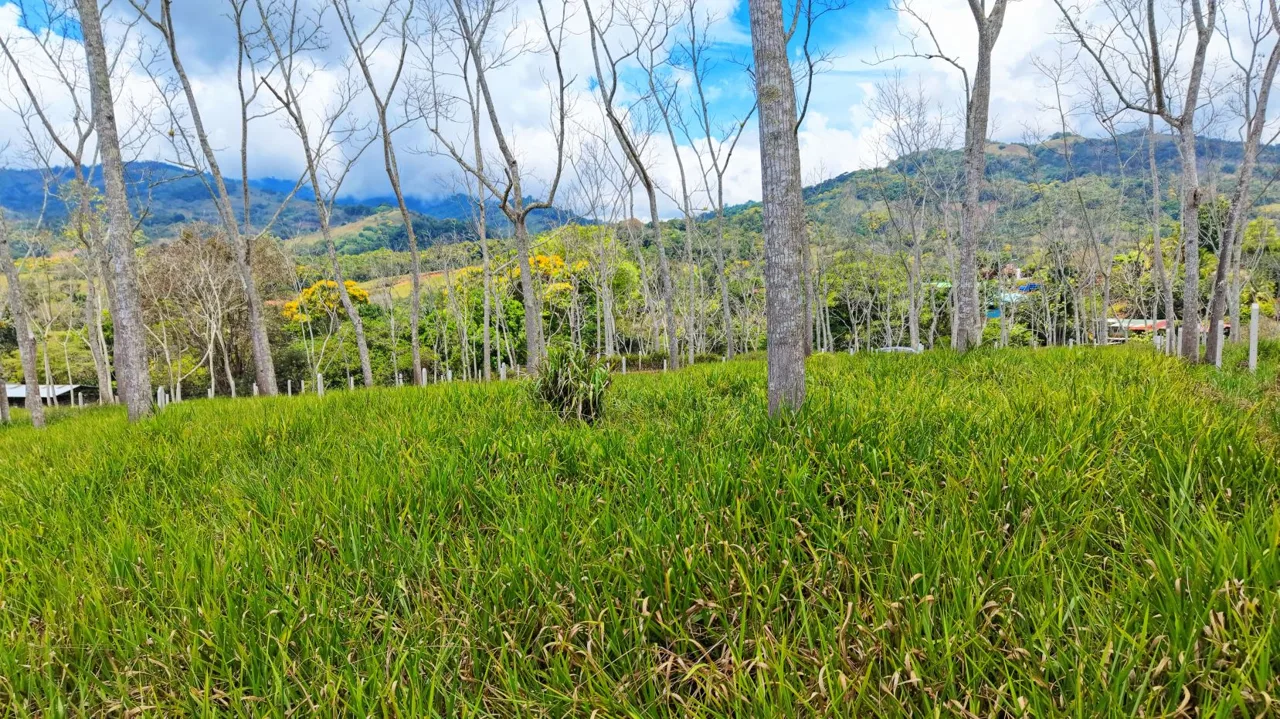 For Sale: One of 3 Premium Lots in Santa Rosa, Perez Zeledon – Don’t Miss Out, photo 9
