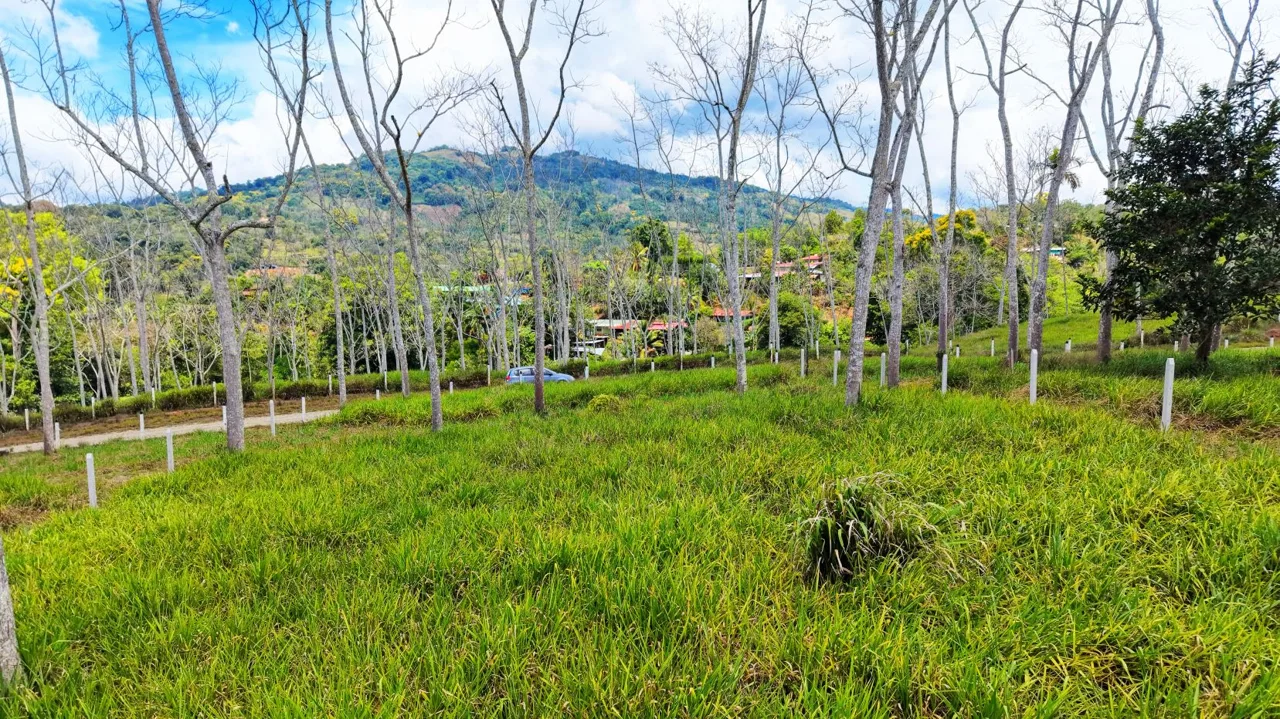 For Sale: One of 3 Premium Lots in Santa Rosa, Perez Zeledon – Don’t Miss Out, photo 10