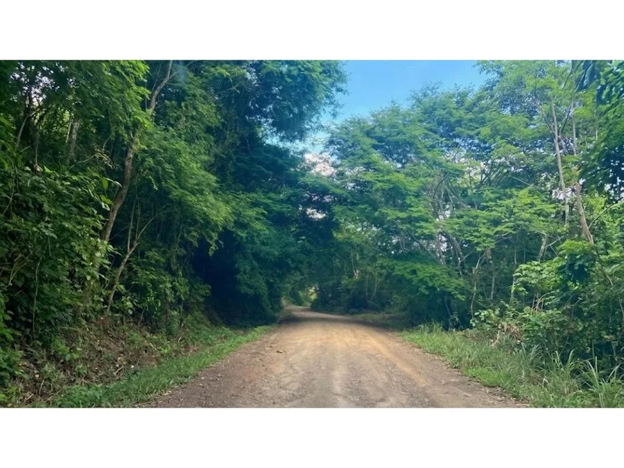 VENTA DE LOTE, GUANACASTE, NICOYA, NOSARA, photo 3