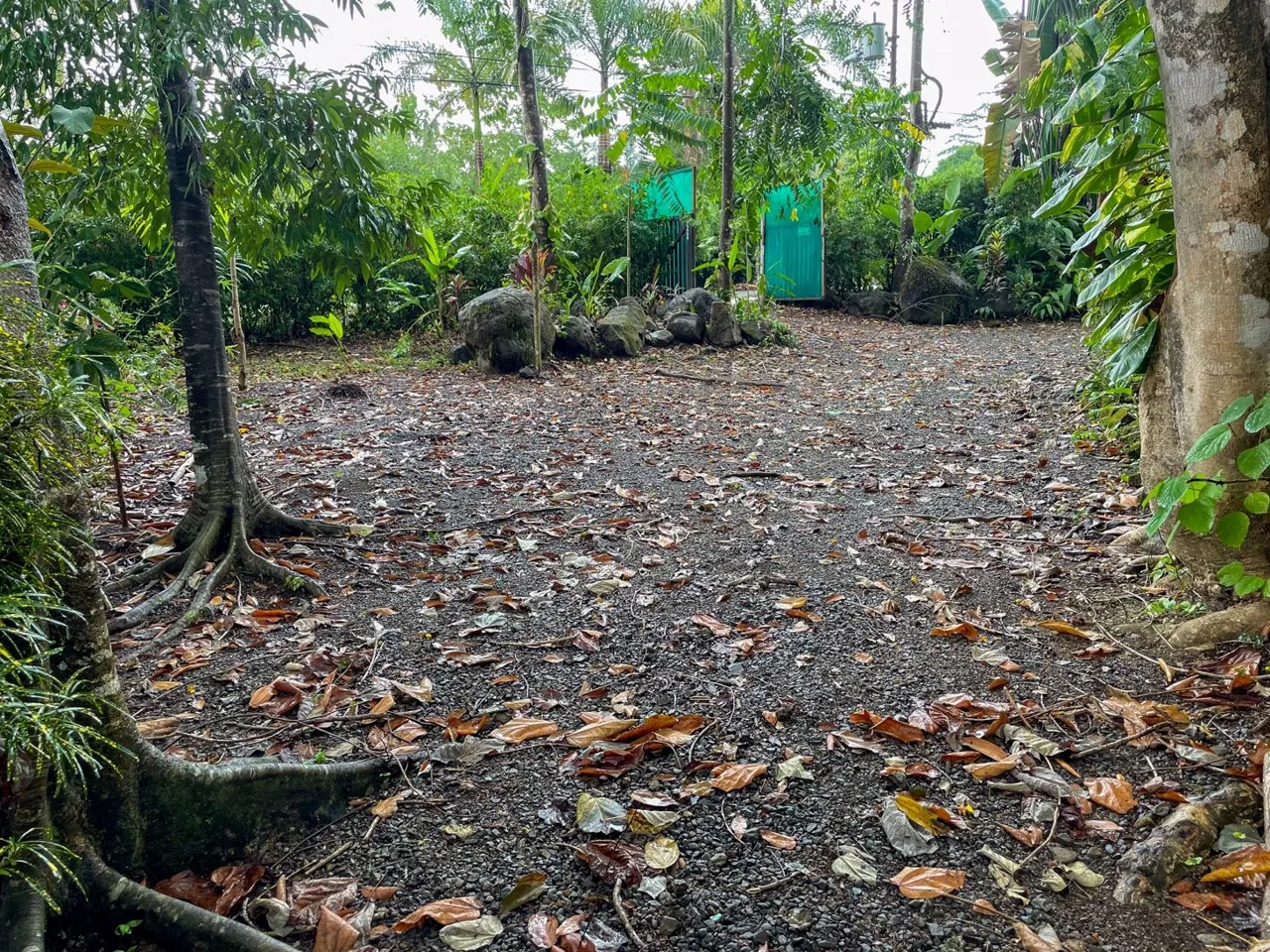 PROPERTY WITH 1 BEDROOM, IN OJOCHAL – 0.75 ACRES, photo 8