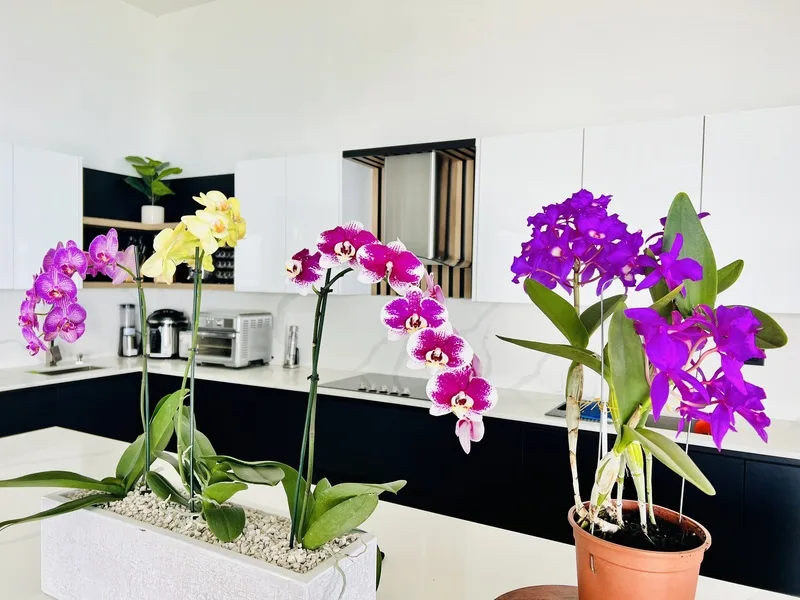 3 Bed Single Family Homes For Sale in Perez Zeledon, photo 10