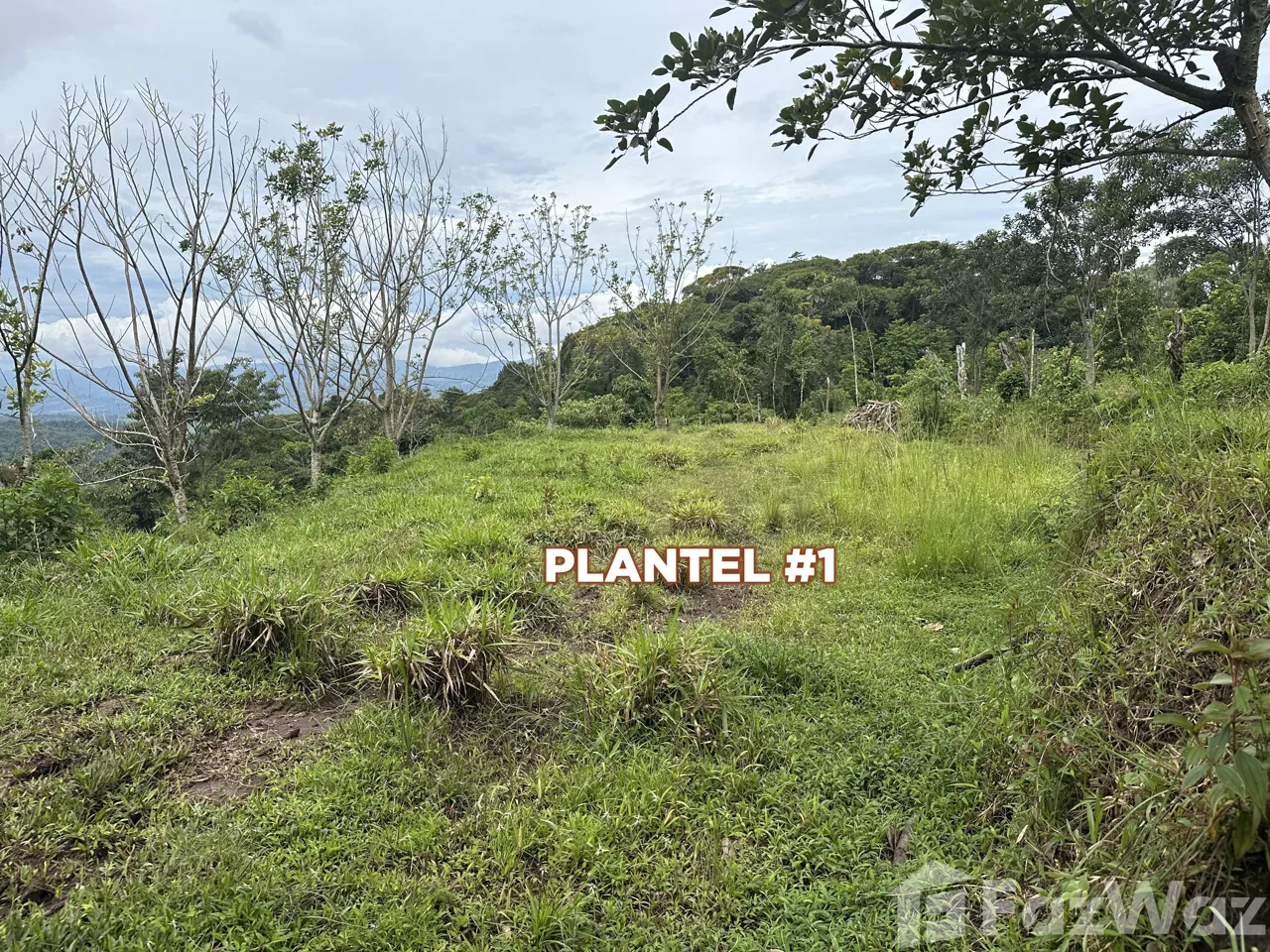 Land for Sale in Perez Zeledon, San Jose for $80,000, photo 2