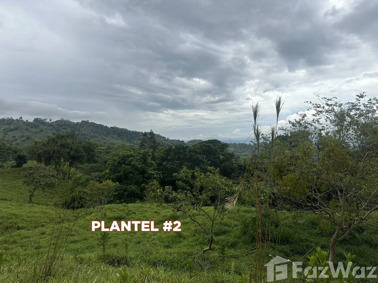 Land for Sale in Perez Zeledon, San Jose for $80,000, photo 3