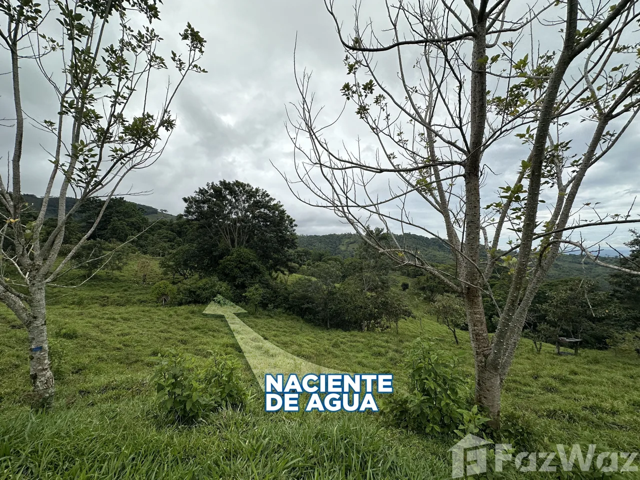Land for Sale in Perez Zeledon, San Jose for $80,000, photo 4