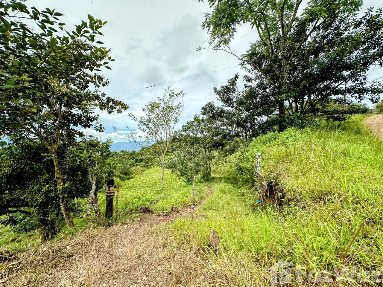 Land for Sale in Perez Zeledon, San Jose for $80,000, photo 5