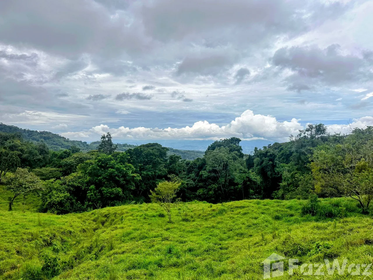 Land for Sale in Perez Zeledon, San Jose for $80,000, photo 6