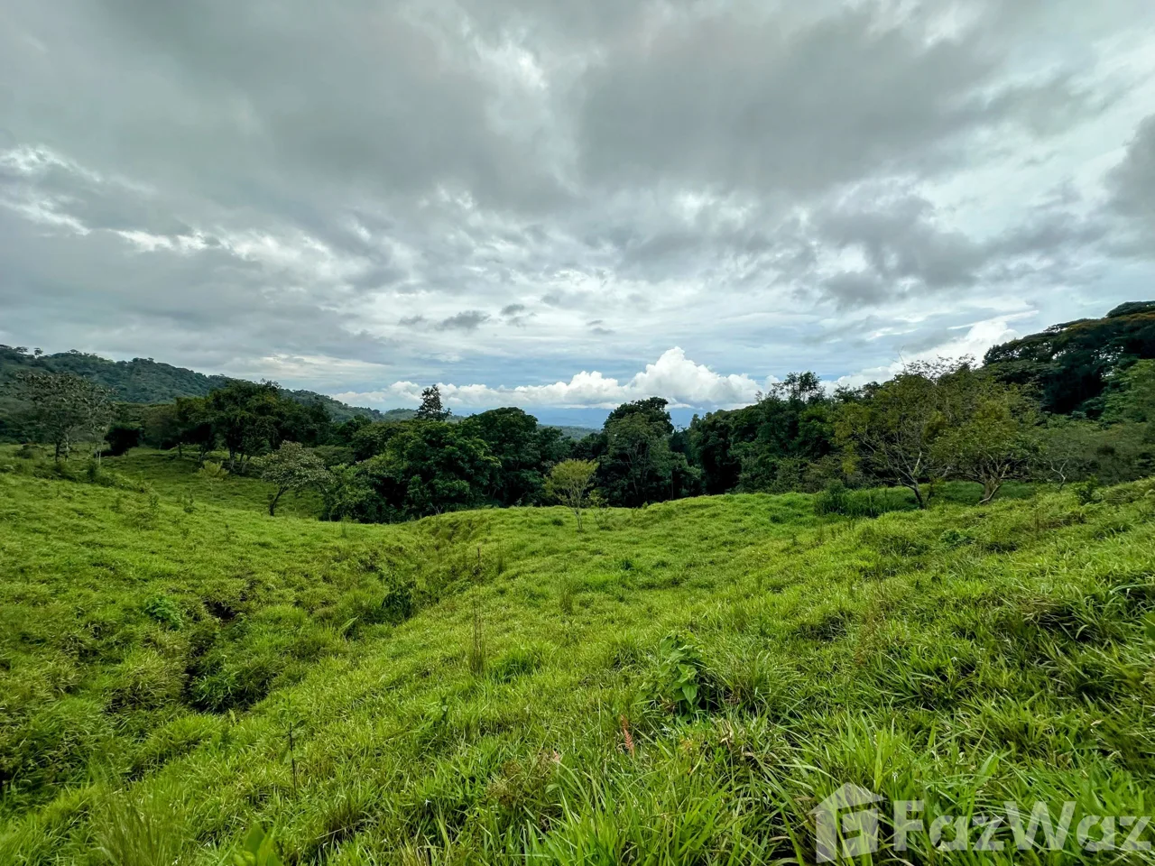 Land for Sale in Perez Zeledon, San Jose for $80,000, photo 7