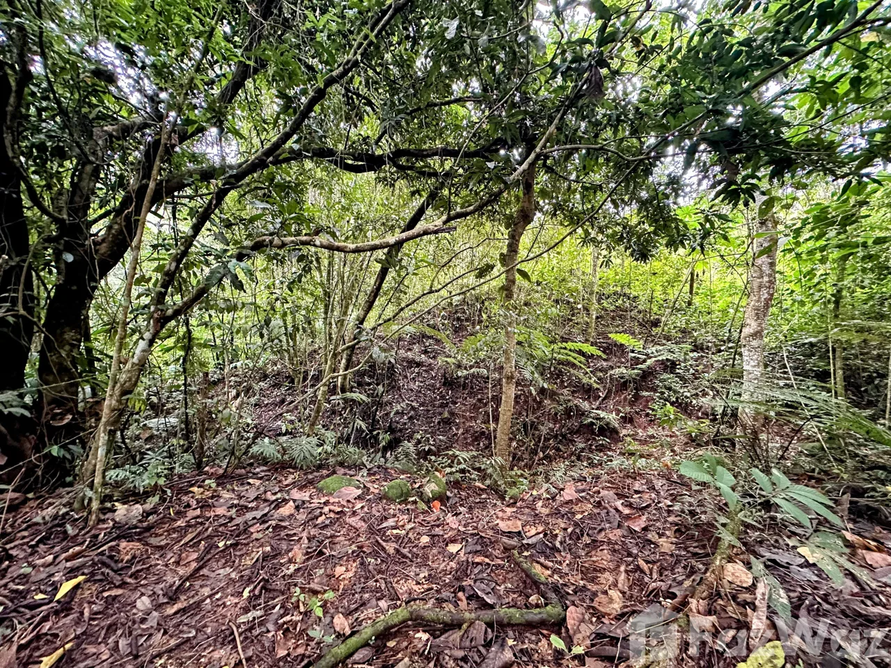 Land for Sale in Perez Zeledon, San Jose for $80,000, photo 8