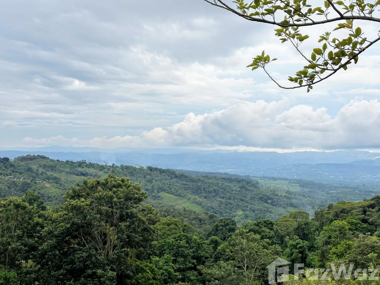Land for Sale in Perez Zeledon, San Jose for $80,000, photo 9