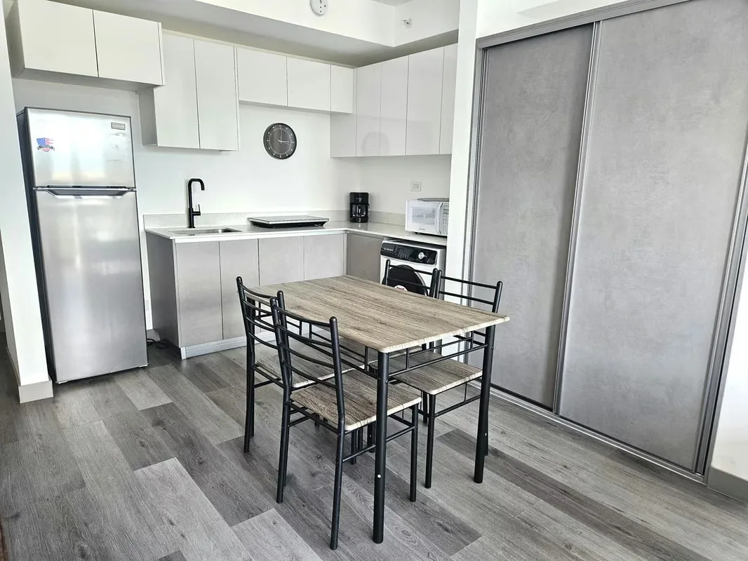 FURNISHED STUDIO FOR RENT – TORRE SER ESCALANTE, photo 3