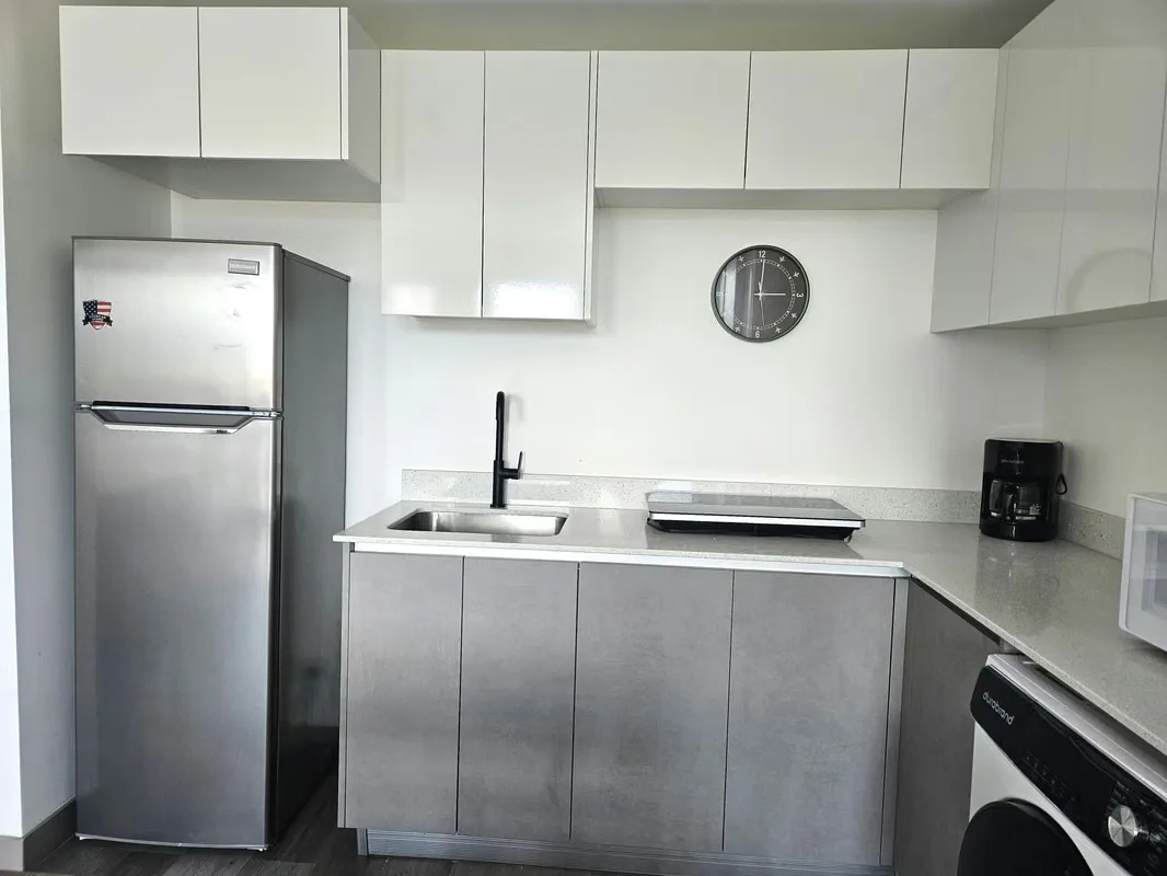 FURNISHED STUDIO FOR RENT – TORRE SER ESCALANTE, photo 4