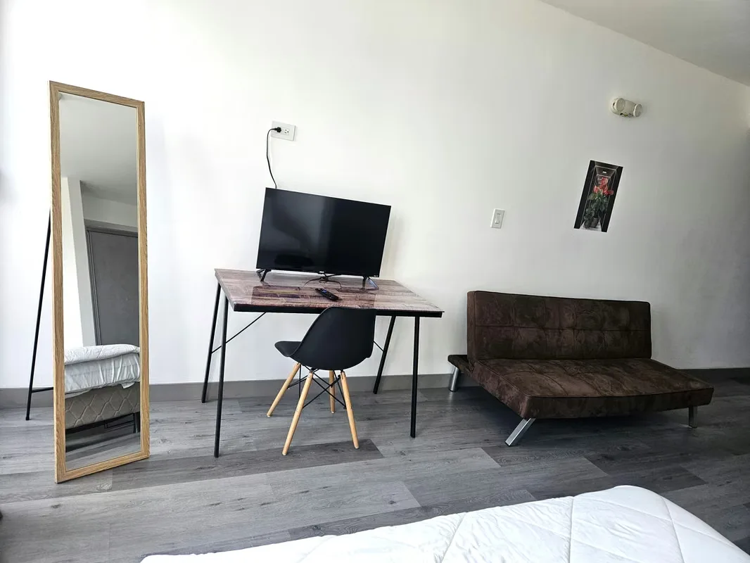 FURNISHED STUDIO FOR RENT – TORRE SER ESCALANTE, photo 7