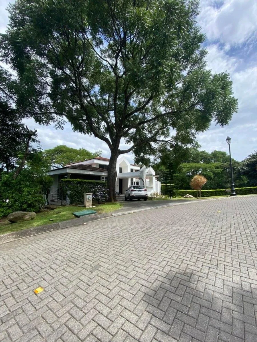 TERRENO EN VENTA EN POZOS, SANTA ANA, SAN JOSÉ RAH 232833  - Venta en Pozos, photo 3
