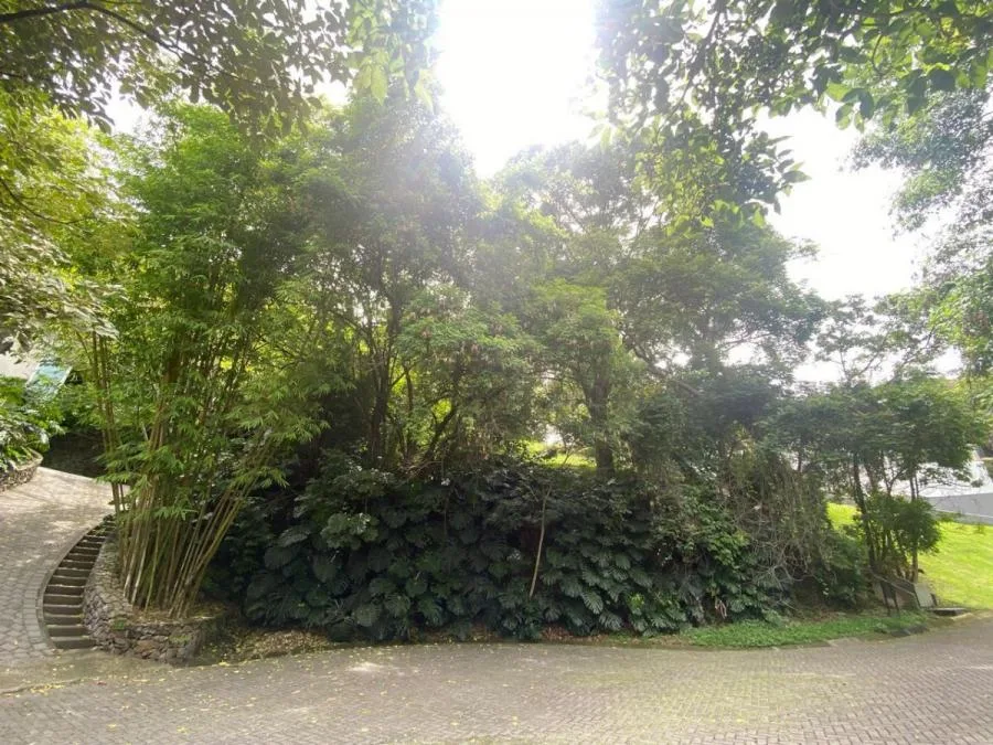 TERRENO EN VENTA EN POZOS, SANTA ANA, SAN JOSÉ RAH 232833  - Venta en Pozos, photo 4