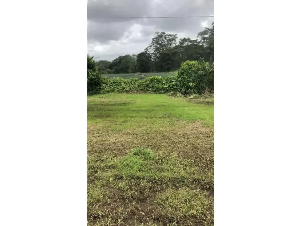DESCRIPCIÓN DETALLADA: lote ubicado sobre calle principal, cerca de escuelas, ..., photo 4