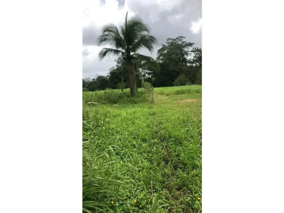 DESCRIPCIÓN DETALLADA: lote ubicado sobre calle principal, cerca de escuelas, ..., photo 6