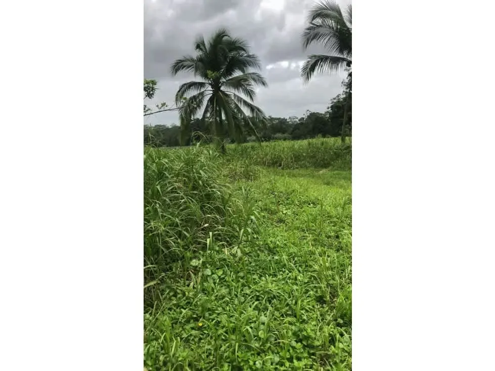DESCRIPCIÓN DETALLADA: lote ubicado sobre calle principal, cerca de escuelas, ..., photo 8