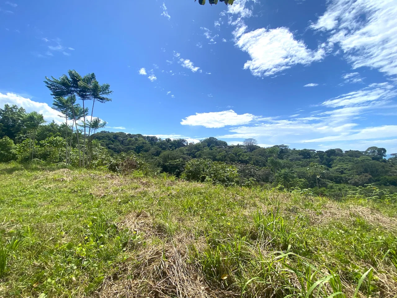 PROPERTY WITH OCEAN VIEWS AND SUNSET, IN OJOCHAL – 3.40 ACRES, photo 11