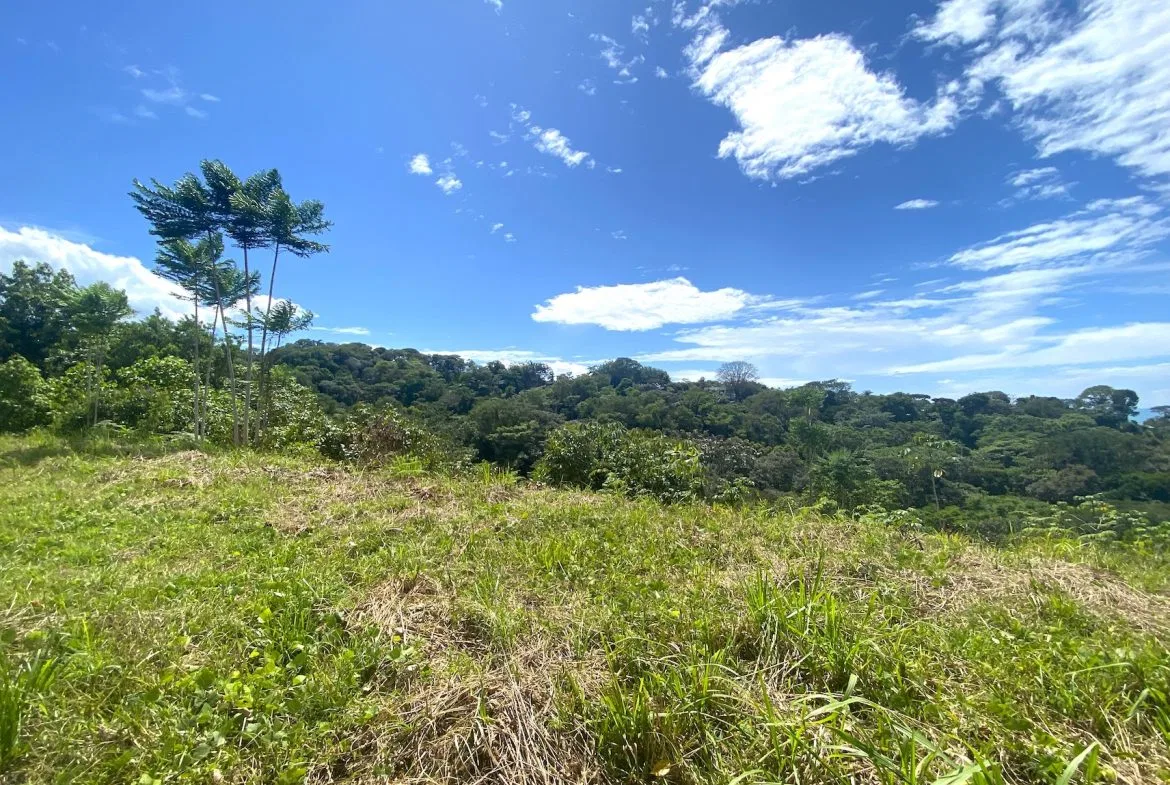 PROPERTY WITH OCEAN VIEWS AND SUNSET, IN OJOCHAL – 3.40 ACRES, photo 12