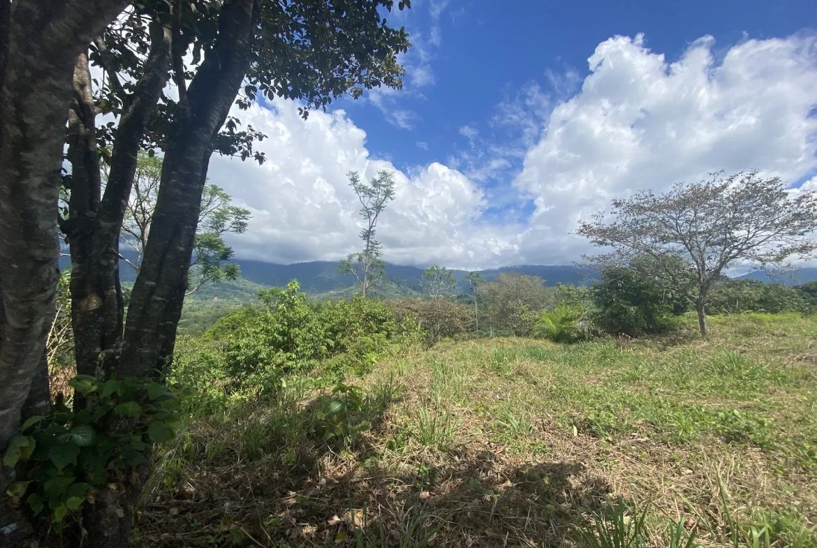 PROPERTY WITH OCEAN VIEWS AND SUNSET, IN OJOCHAL – 3.40 ACRES, photo 14