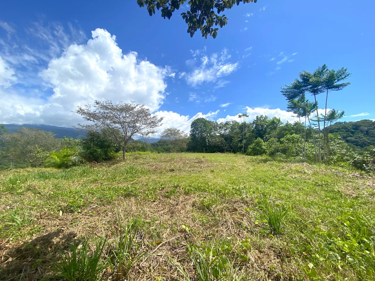 PROPERTY WITH OCEAN VIEWS AND SUNSET, IN OJOCHAL – 3.40 ACRES, photo 15