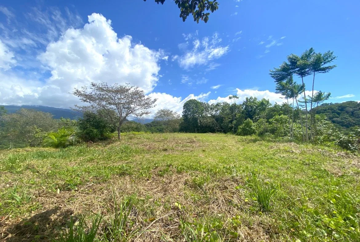 PROPERTY WITH OCEAN VIEWS AND SUNSET, IN OJOCHAL – 3.40 ACRES, photo 16