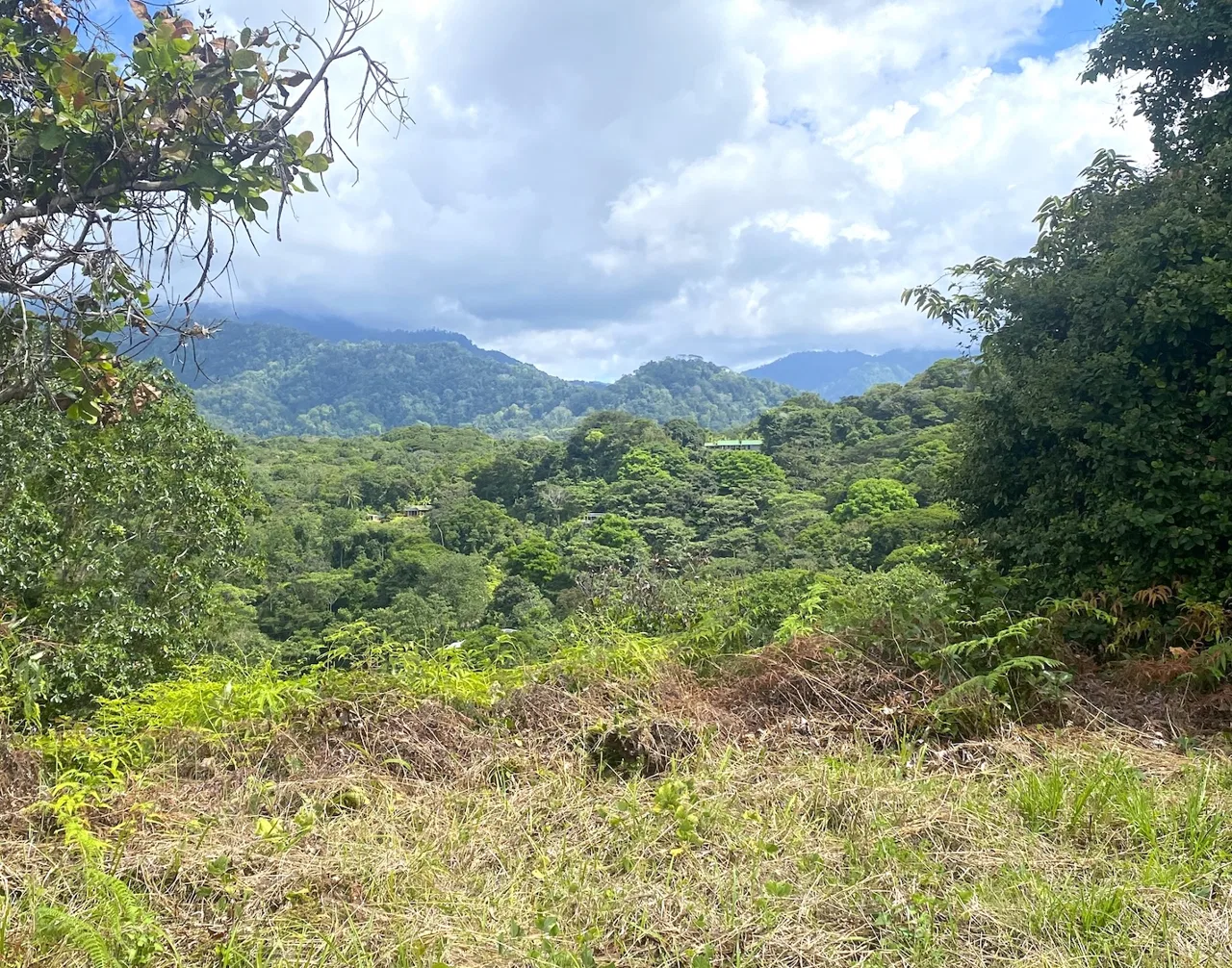 PROPERTY WITH OCEAN VIEWS AND SUNSET, IN OJOCHAL – 3.40 ACRES, photo 17