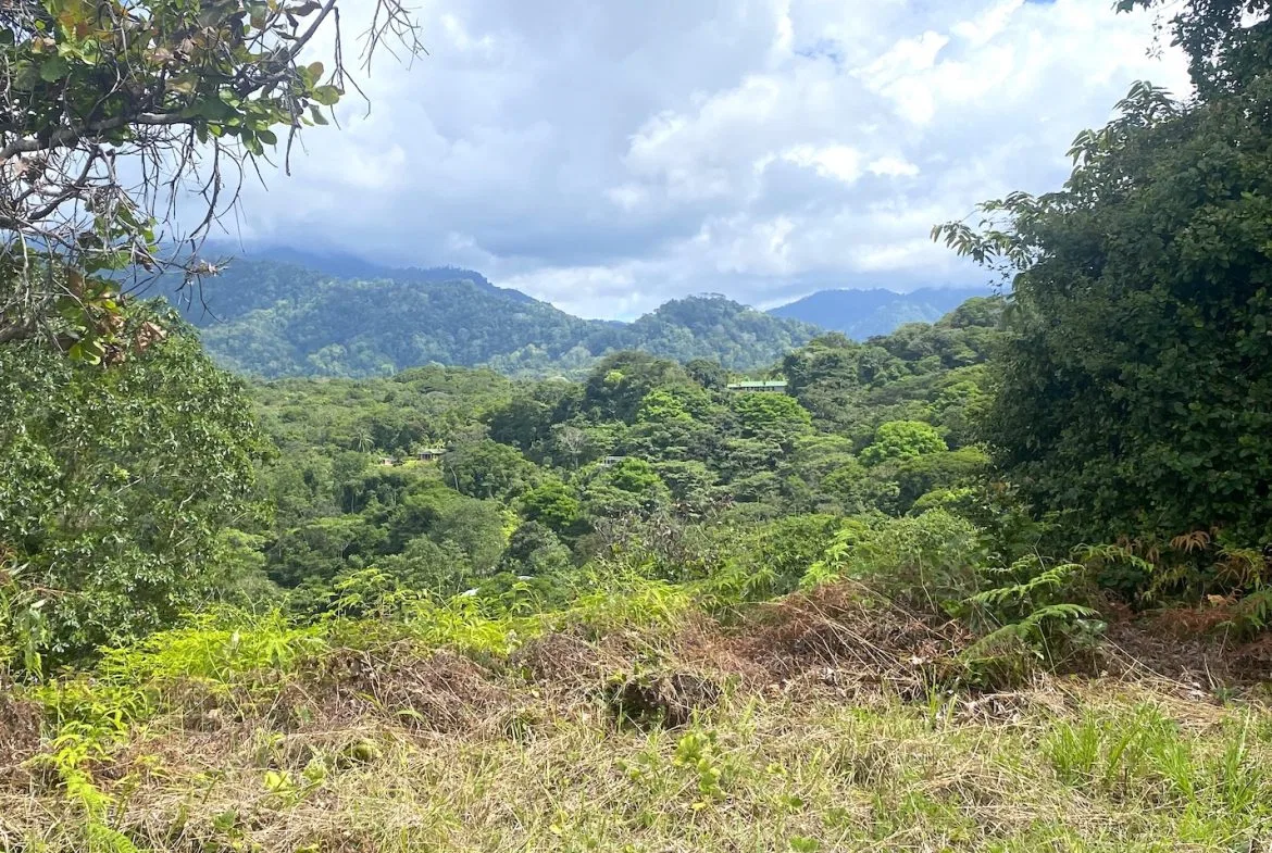PROPERTY WITH OCEAN VIEWS AND SUNSET, IN OJOCHAL – 3.40 ACRES, photo 18