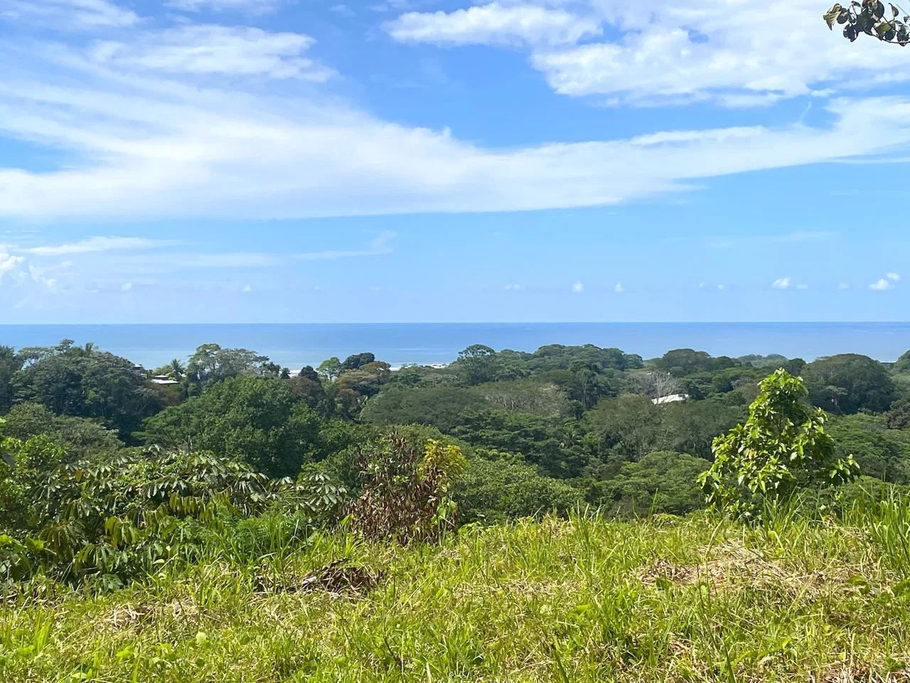 PROPERTY WITH OCEAN VIEWS AND SUNSET, IN OJOCHAL – 3.40 ACRES, photo 19