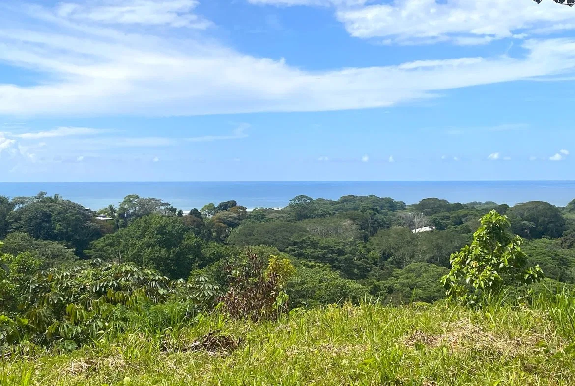 PROPERTY WITH OCEAN VIEWS AND SUNSET, IN OJOCHAL – 3.40 ACRES, photo 20