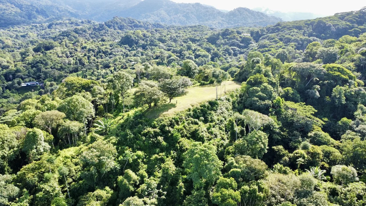 PROPERTY WITH OCEAN VIEWS AND SUNSET, IN OJOCHAL – 3.40 ACRES, photo 3