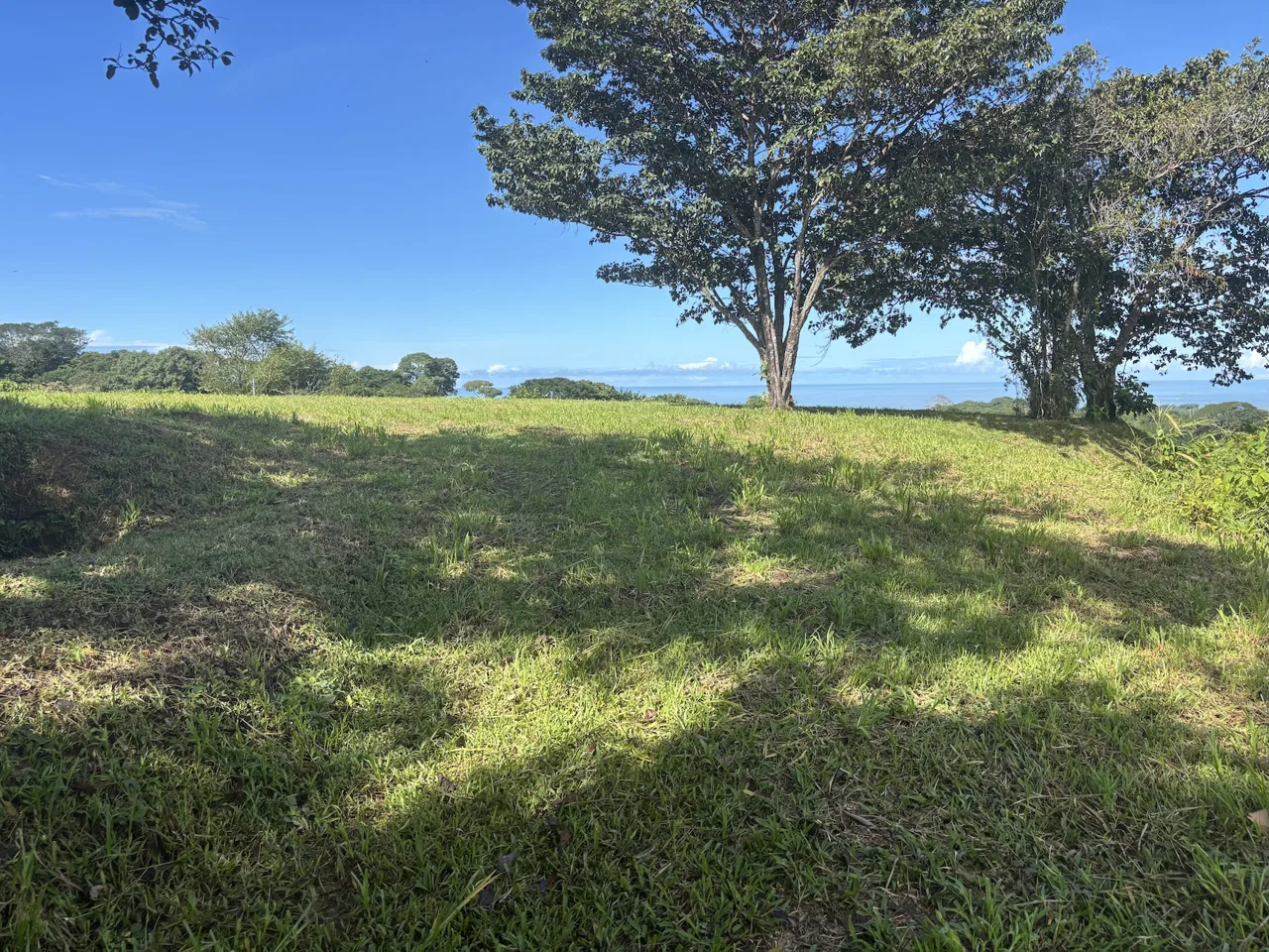 PROPERTY WITH OCEAN VIEWS AND SUNSET, IN OJOCHAL – 3.40 ACRES, photo 21
