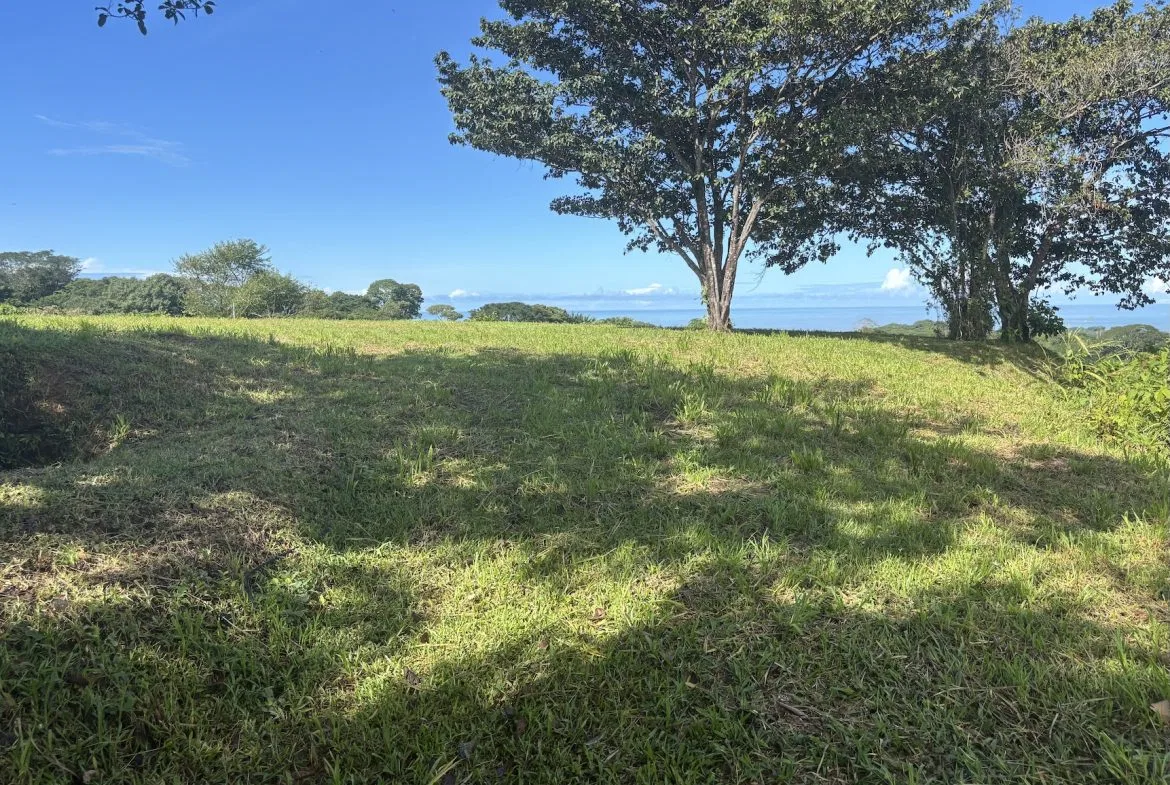 PROPERTY WITH OCEAN VIEWS AND SUNSET, IN OJOCHAL – 3.40 ACRES, photo 22