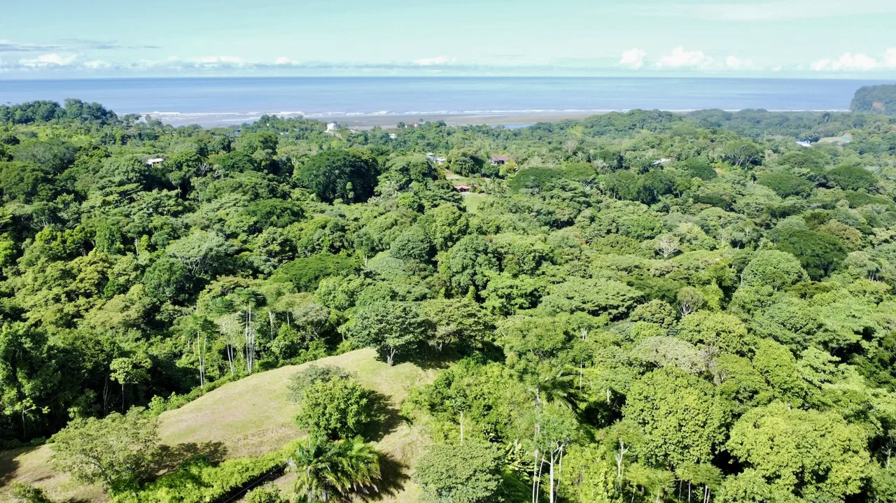 PROPERTY WITH OCEAN VIEWS AND SUNSET, IN OJOCHAL – 3.40 ACRES, photo 23