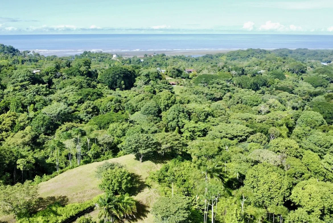 PROPERTY WITH OCEAN VIEWS AND SUNSET, IN OJOCHAL – 3.40 ACRES, photo 24