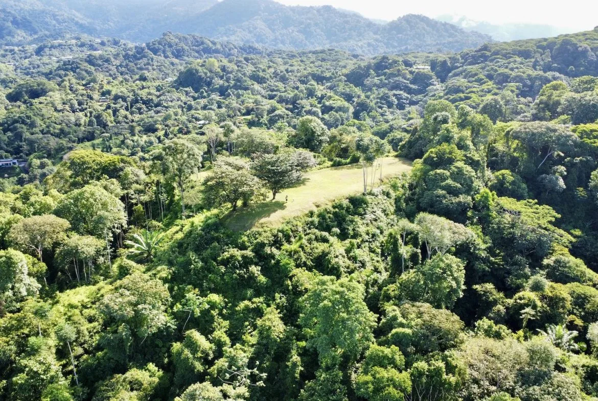 PROPERTY WITH OCEAN VIEWS AND SUNSET, IN OJOCHAL – 3.40 ACRES, photo 4
