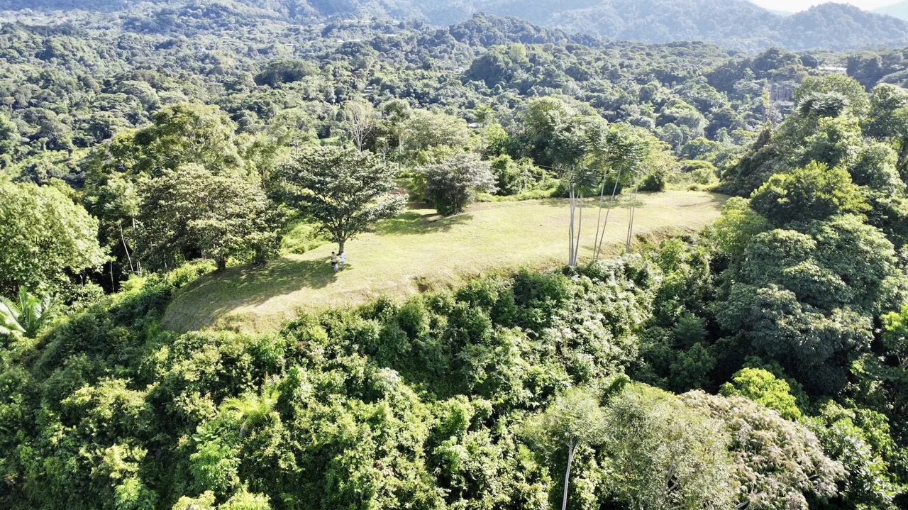 PROPERTY WITH OCEAN VIEWS AND SUNSET, IN OJOCHAL – 3.40 ACRES, photo 5
