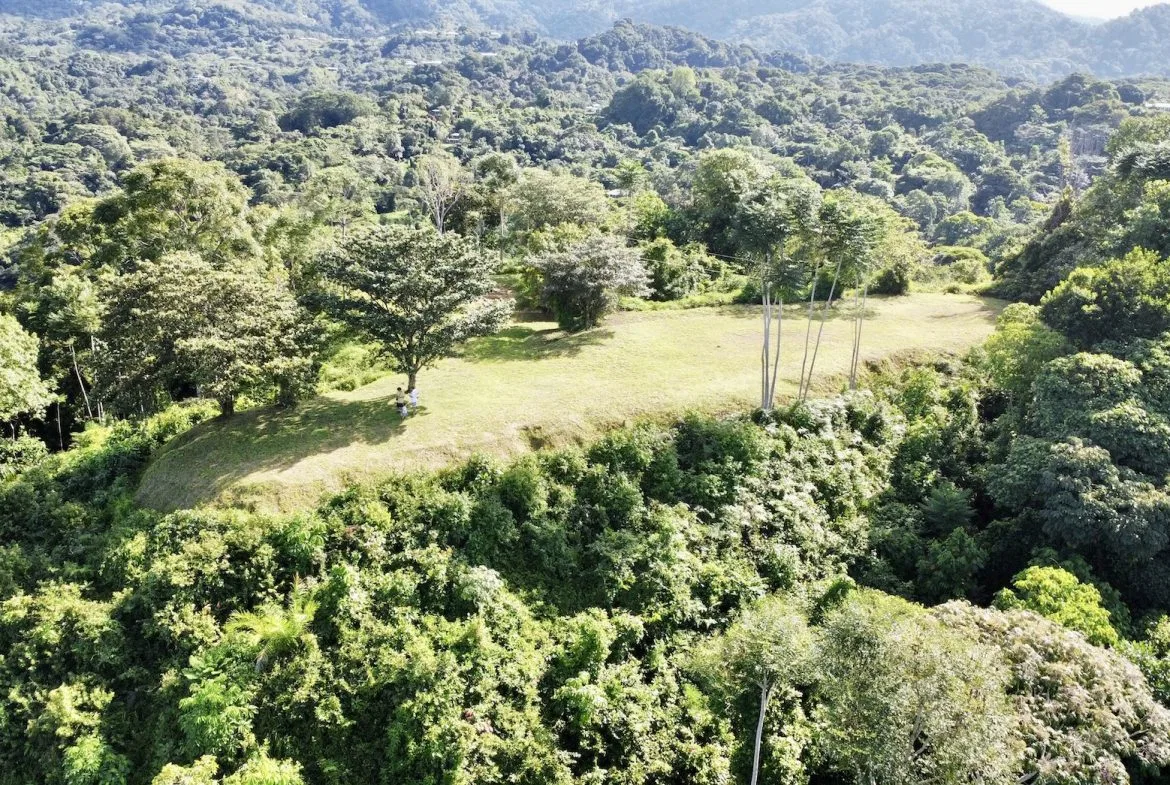 PROPERTY WITH OCEAN VIEWS AND SUNSET, IN OJOCHAL – 3.40 ACRES, photo 6
