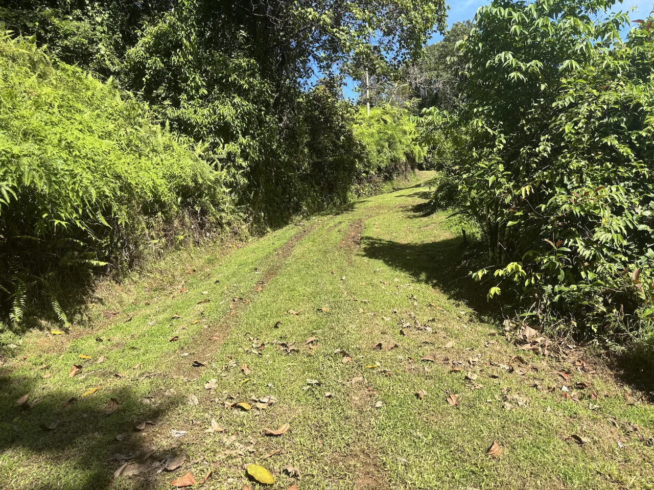 PROPERTY WITH OCEAN VIEWS AND SUNSET, IN OJOCHAL – 3.40 ACRES, photo 7