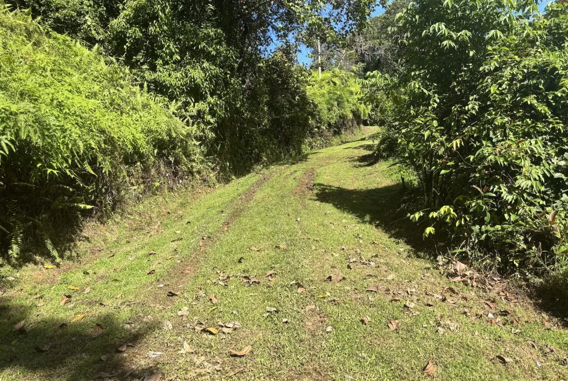 PROPERTY WITH OCEAN VIEWS AND SUNSET, IN OJOCHAL – 3.40 ACRES, photo 8